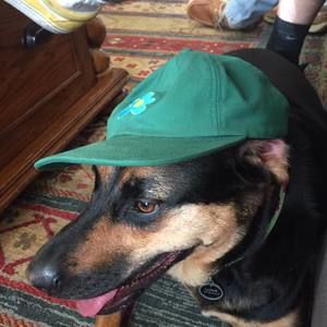 Meet your Posher, Johnny